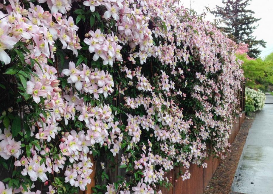 Atterrir près d'un support solide facilitera la suite des soins