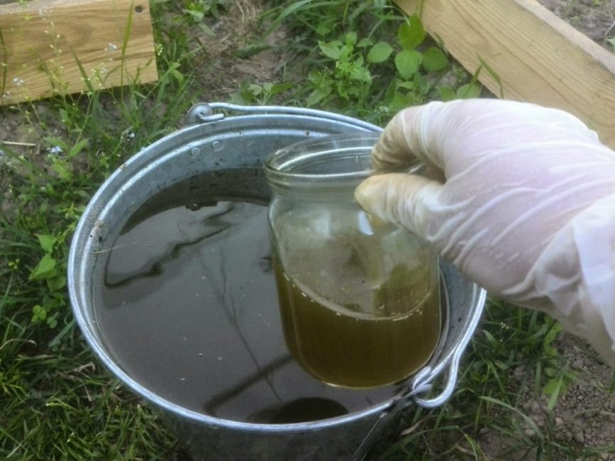 Il est utile d'alterner les engrais organiques et minéraux.