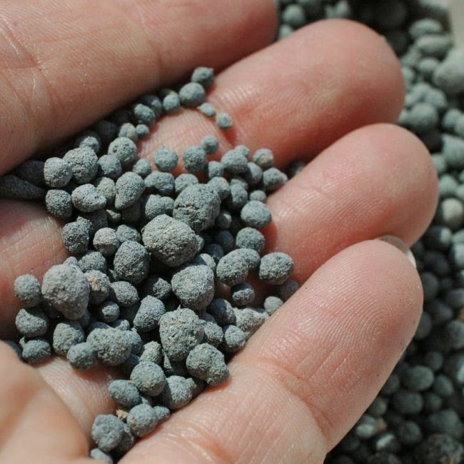 La meilleure litière pour chat