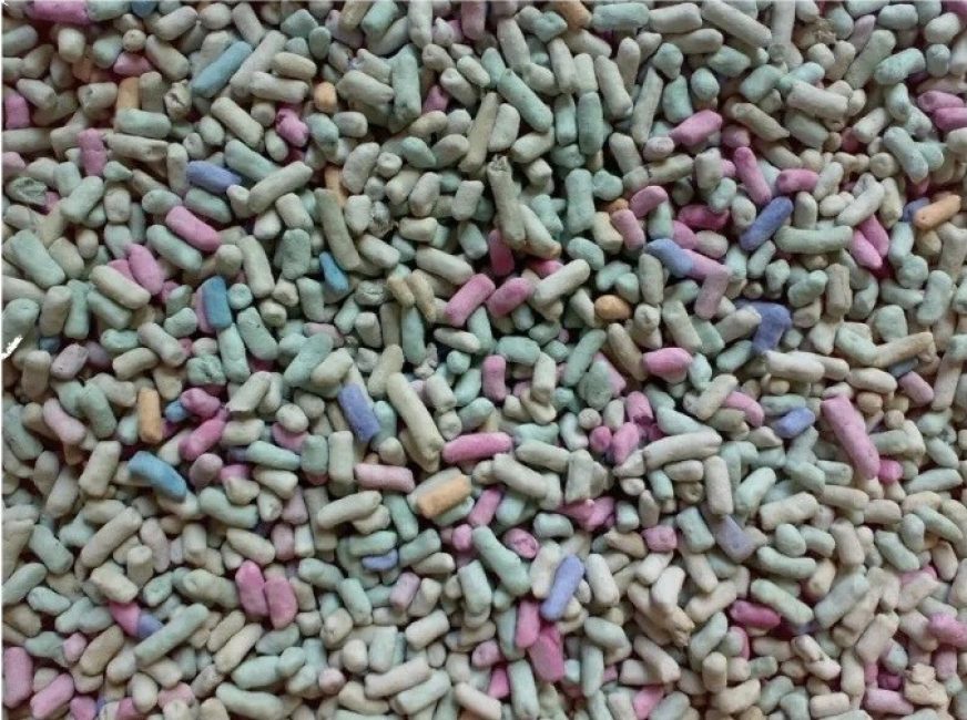 La meilleure litière pour chat