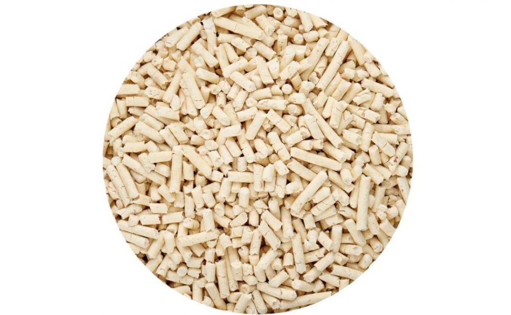 La meilleure litière pour chat