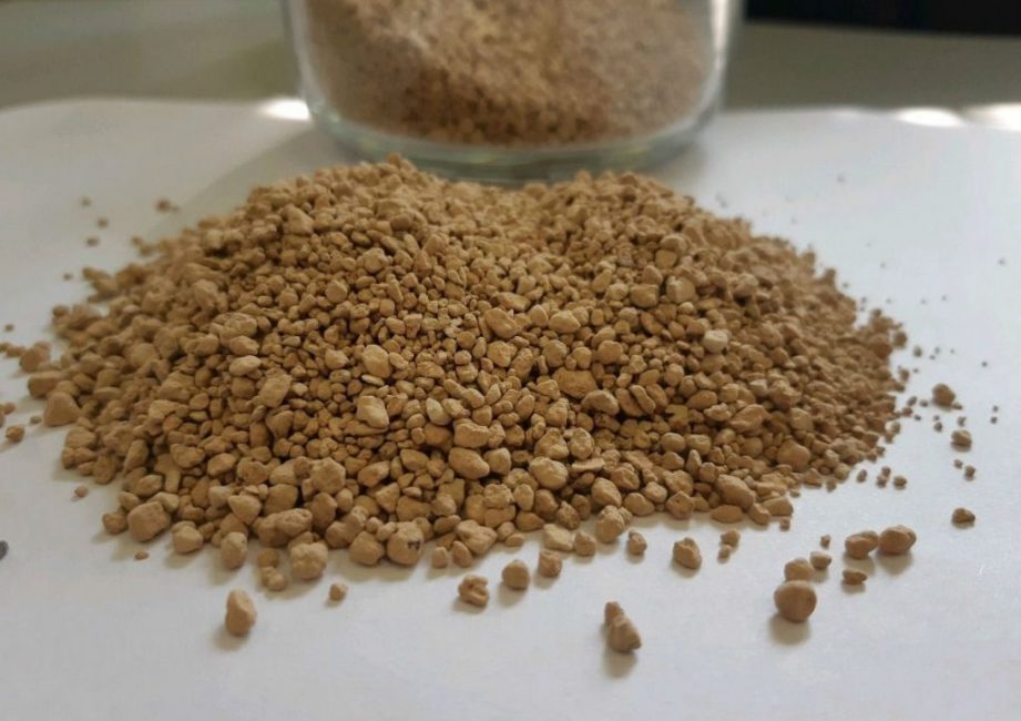 La meilleure litière pour chat