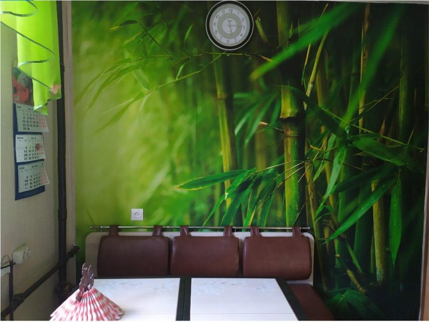 Peintures murales à l'intérieur: types, application, choix du design et combinaisons