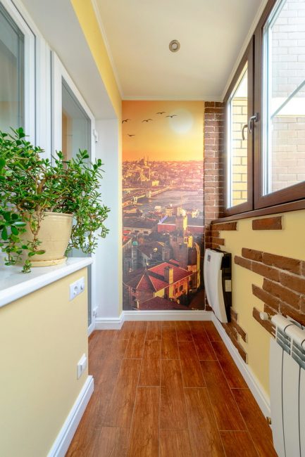 Peintures murales à l'intérieur: types, application, choix du design et combinaisons