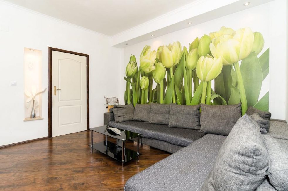 Peintures murales à l'intérieur: types, application, choix du design et combinaisons