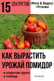 15 secrets pour faire pousser une bonne récolte de tomates en plein champ et en serre (Photo & Vidéo) + Avis