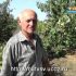 [VIDEO] Planter et fertiliser des pruniers