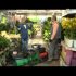 [VIDEO] Petite sagesse des jardiniers