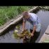 [VIDEO] Comment sauver un nénuphar en hiver