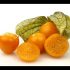 [VIDEO] Ce que vous devez savoir exactement pour faire pousser des carottes fructueuses