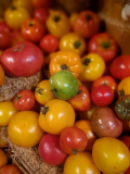 Tomates: caractéristiques et description des 25 meilleures variétés avec avis de jardiniers
